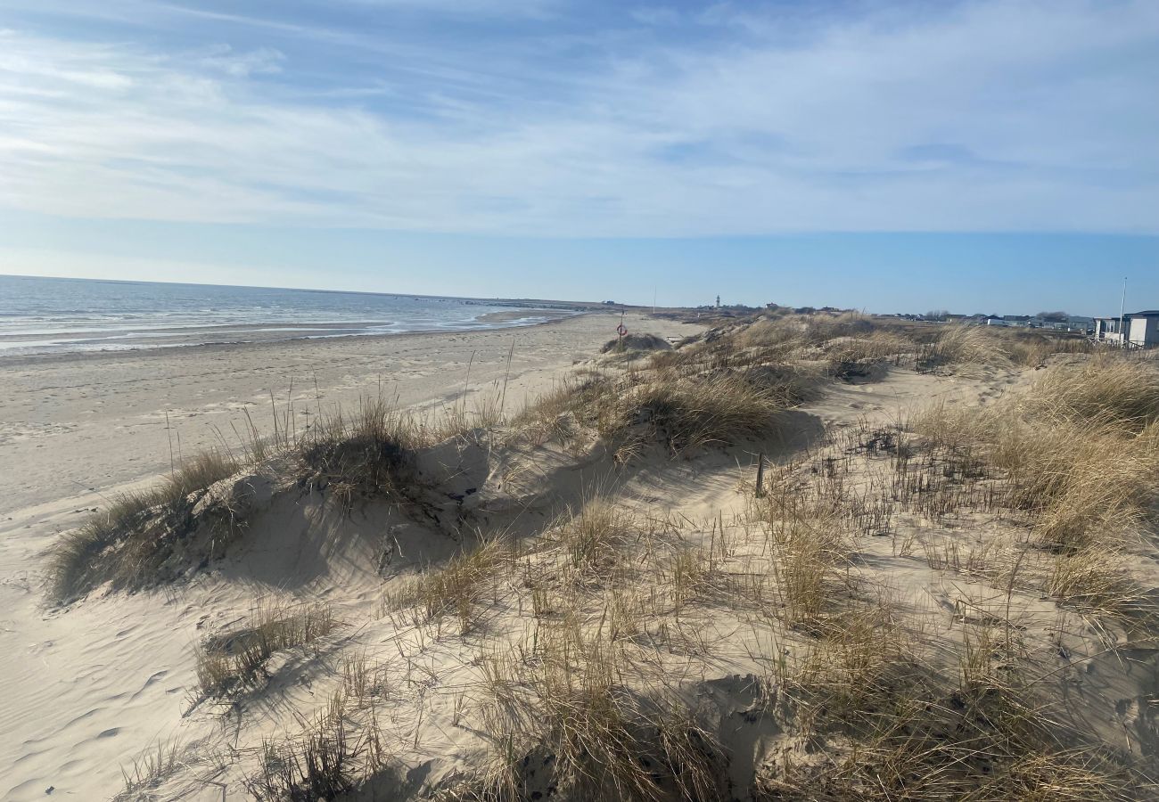 House in Falkenberg - Holidayhome 250 m to Olofsbo Havsbad | SE02033