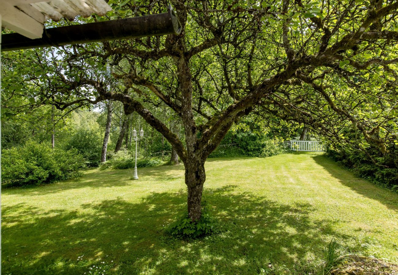 House in Urshult -  Nice cottage close to Urshult with access to a boat by lake Åsnen | SE06027