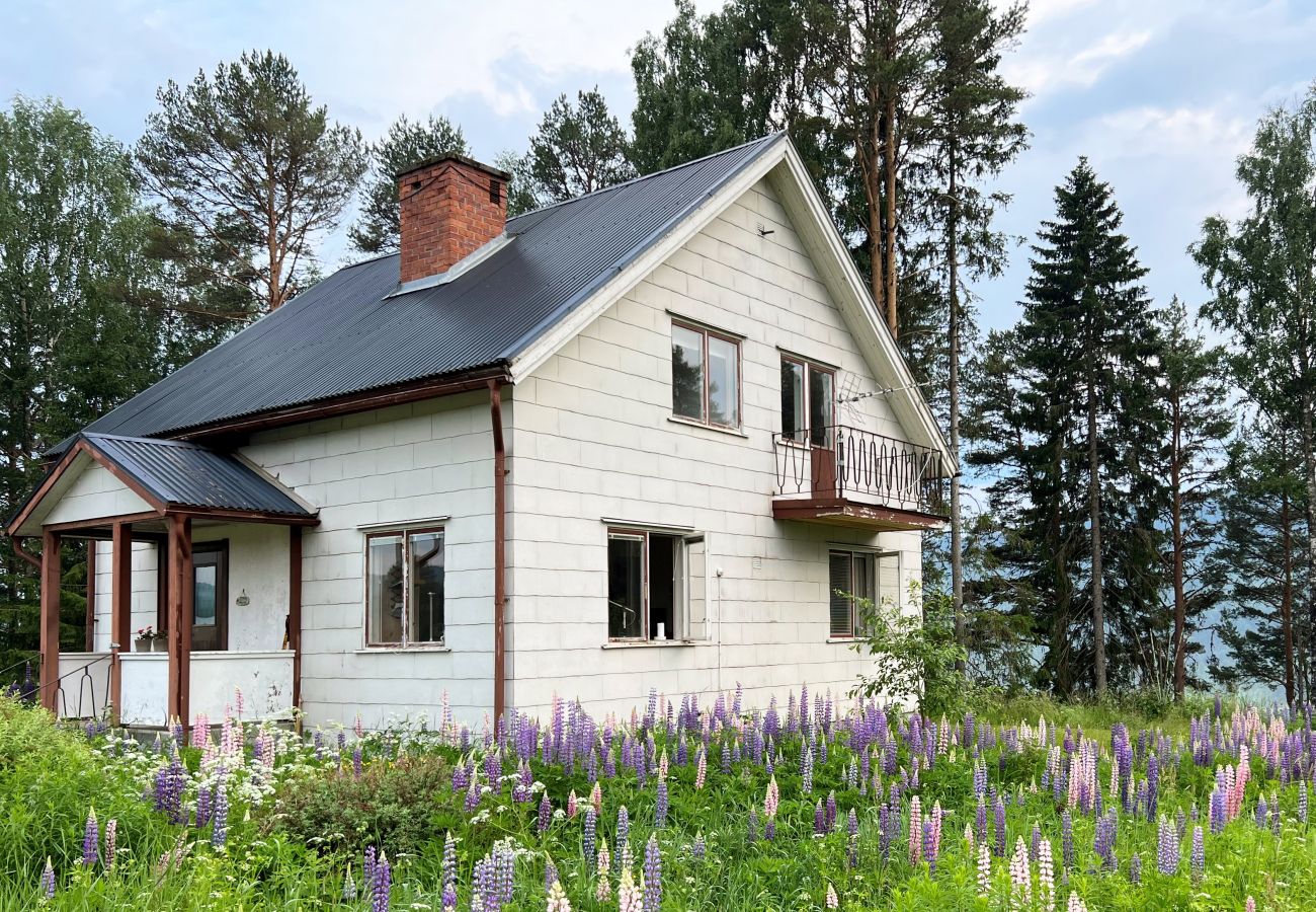 House in Likenäs - Rural villa with a view of Klarälven near Branäs | SE18014