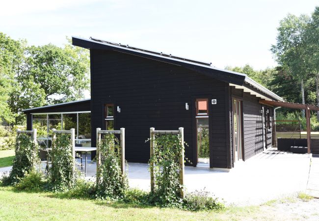 House in Löttorp - Modern holiday home in scenic Stennige, Öland | SE04009