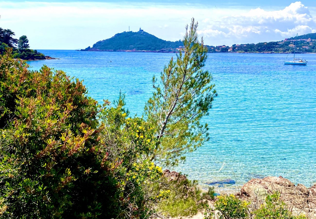 Villa in Agay - Villa the View - Etoiles du Sud