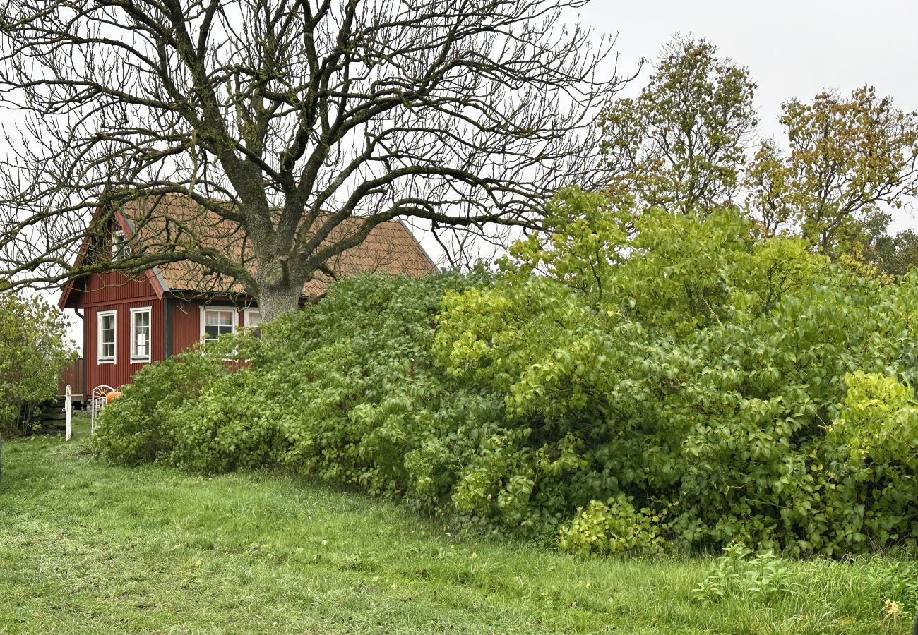 House in Färjestaden - Cozy holiday house on Öland near family-friendly beaches | SE04012