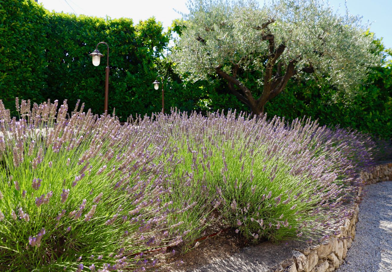 Villa in Mougins - Villa Pablo - Etoiles du Sud