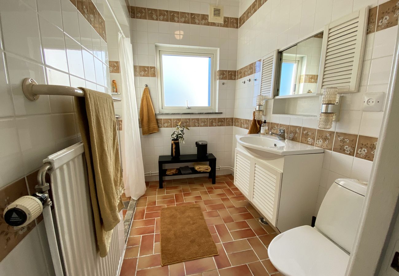 House in Höganäs - Family holiday home in Höganäs with pool | SE01039