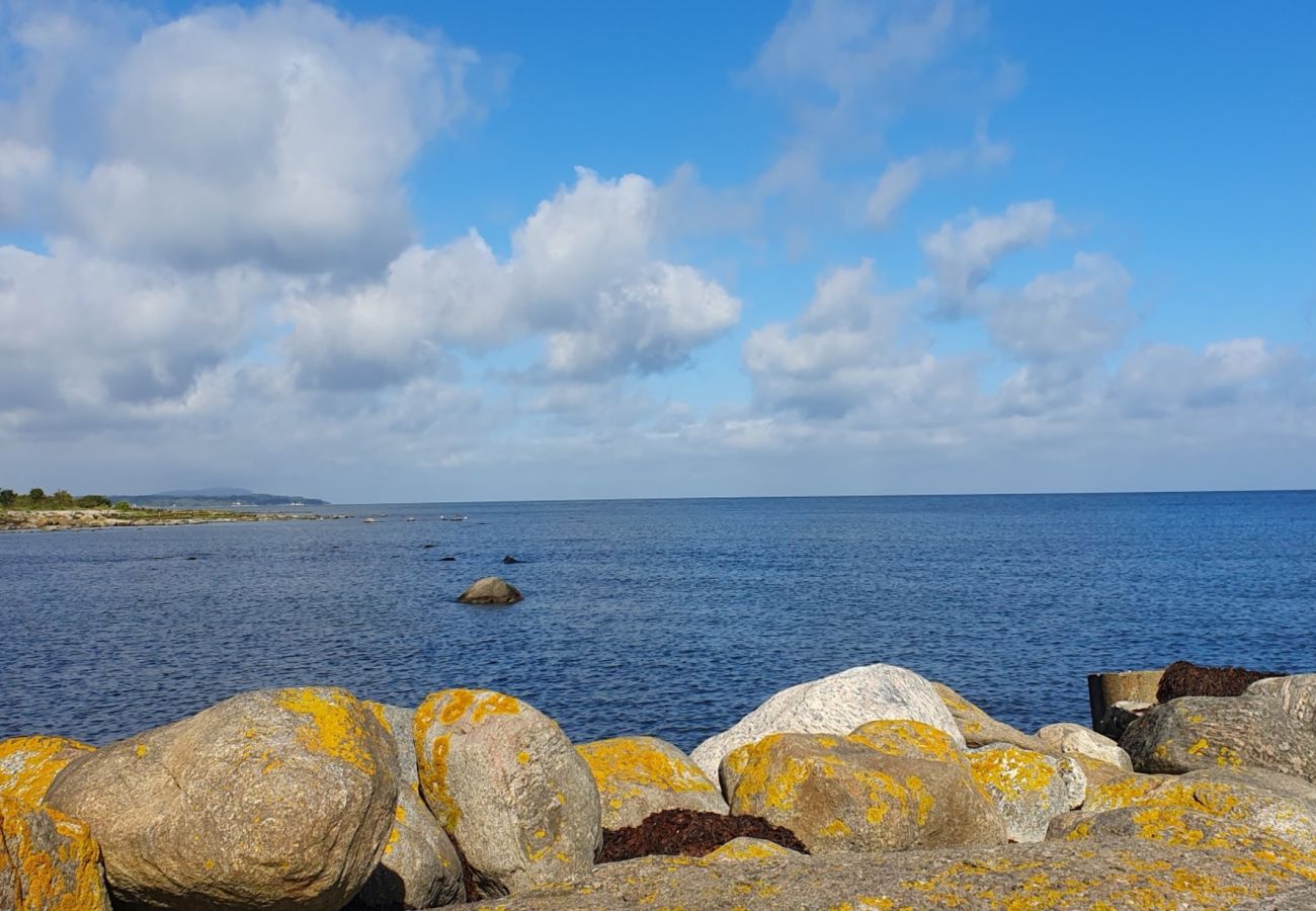 House in Farhult - Holiday home on peninsula near Höganäs | SE01041