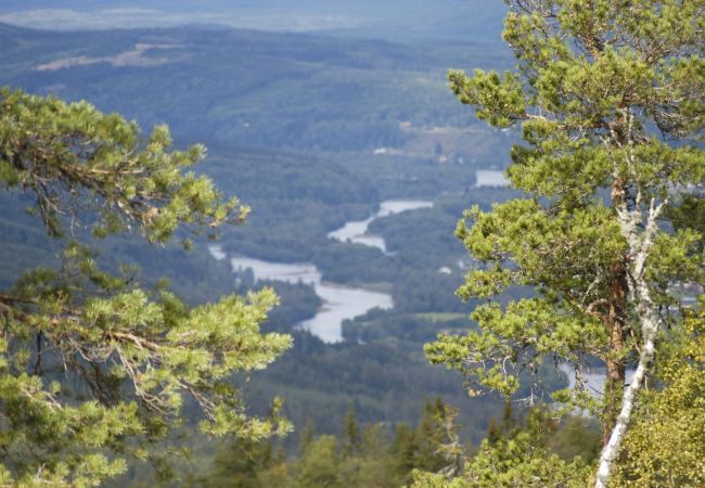 House in Sysslebäck - Wilderness cottage at the foot of mountain Branäsberget | SE18024