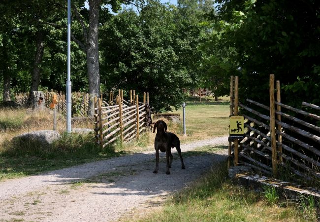Apartment in Laholm - Kockabygget: Charming holiday apartment on a rural farm outside Laholm | SE02059