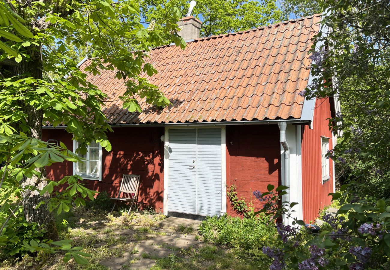 House in Borgholm - Red small cottage on Öland surrounded by grazing sheep I SE04032