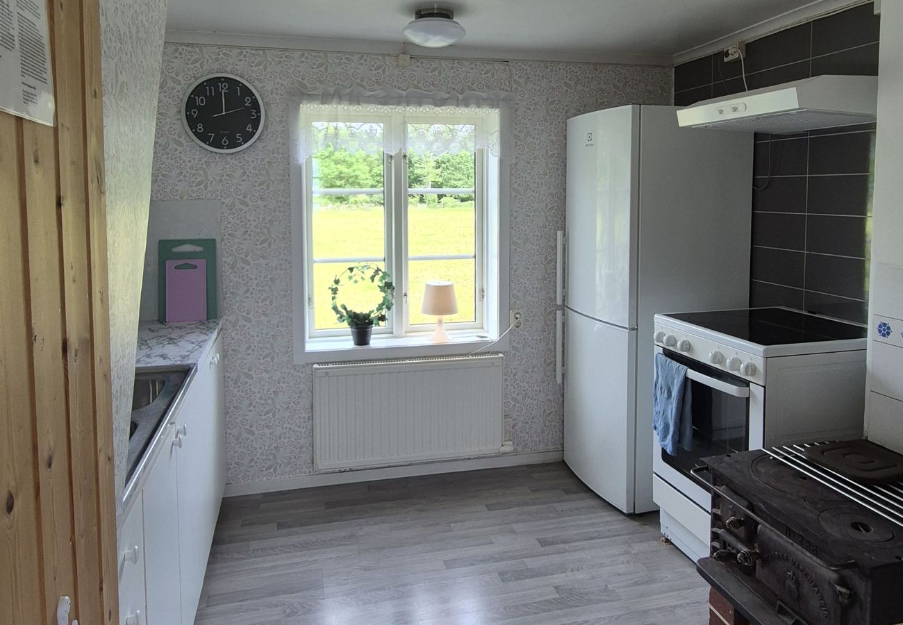 House in Borgholm - Nice cottage on Öland with grazing sheep in the surroundings I SE04033