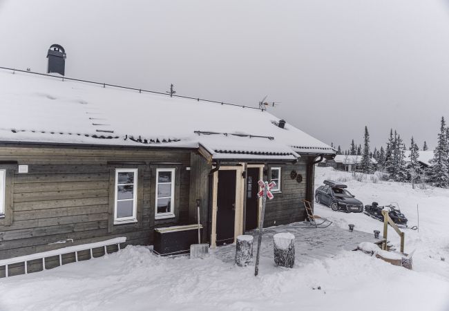 House in Undersåker - Modern holiday cottage in Trillevallen / Åre | SE21005