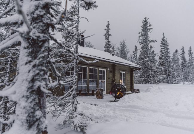 House in Undersåker - Modern holiday cottage in Trillevallen / Åre | SE21005