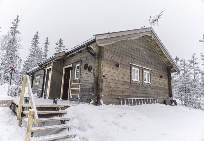 House in Undersåker - Modern holiday cottage in Trillevallen / Åre | SE21005