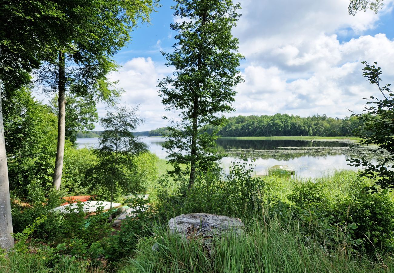 House in Hässleholm - Nice cottage outside Hässleholm | SE01017