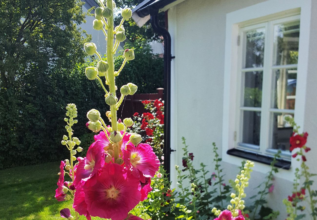 House in Ystad - Lovely holiday home in Ystad | SE01072