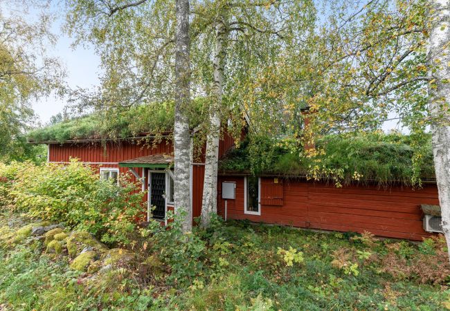 House in Kungsgården - Charming holiday home in Kungsgården, Gästrikland | SE20007