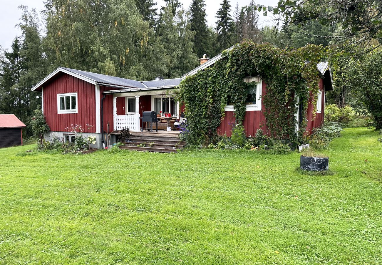 House in Nås -  Wilderness cabin in Nås near the Västerdal River | SE19001