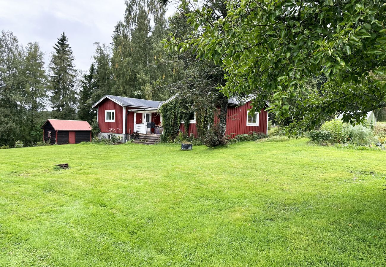 House in Nås -  Wilderness cabin in Nås near the Västerdal River | SE19001