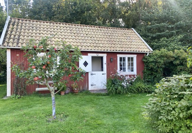 Studio in Vejbystrand - Cozy red guest cottage in Vejbystrand near the beach | SE01069