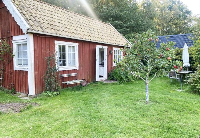 Studio in Vejbystrand - Cozy red guest cottage in Vejbystrand near the beach | SE01069