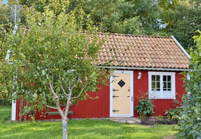 Studio in Vejbystrand - Cozy red guest cottage in Vejbystrand near the beach | SE01069
