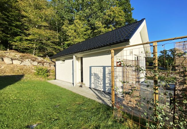 House in Svängsta - Smaller cabin in wonderful forest environment and only 40 m to fishing opportunity | SE03012 House in Svängsta - Smaller cabin in wonderful forest environment and only 40 m to fishing opportunity | SE03012