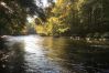House in Svängsta - Smaller cabin in wonderful forest environment and only 40 m to fishing opportunity | SE03012 House in Svängsta - Smaller cabin in wonderful forest environment and only 40 m to fishing opportunity | SE03012