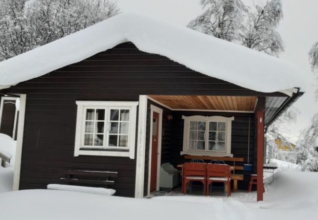 House in Undersåker - Cozy cottage in Undersåker close to skiing and fishing | SE21008