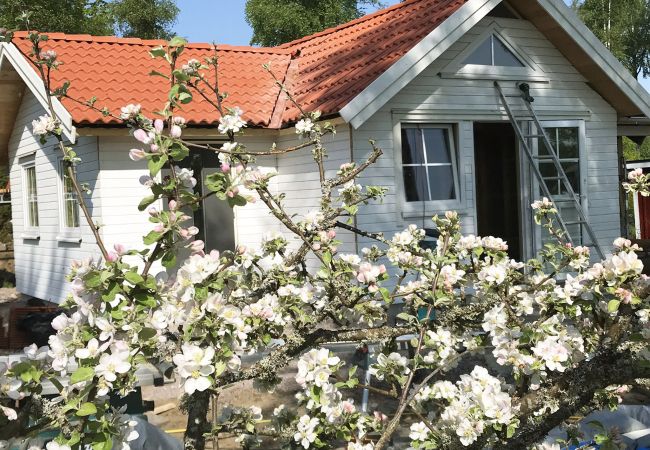 House in Tånnö - Renovated nice cottage located outside Värnamo and only 30 meters from the lake Flåren |SE07055