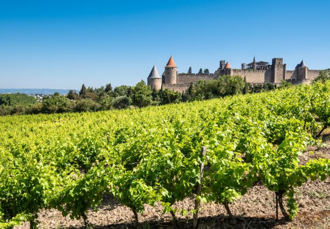 Villa in Carcassonne - Villa Coeur de Vignes - Etoiles du Sud