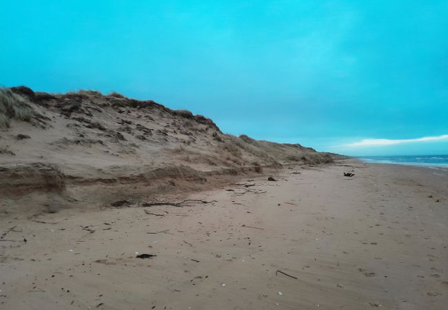 House in Eldsberga - Nice little cottage in picturesque Tönnersa beach village, near Halmstad | SE02097 House in Eldsberga - Nice little cottage in picturesque Tönnersa beach village, near Halmstad | SE02097