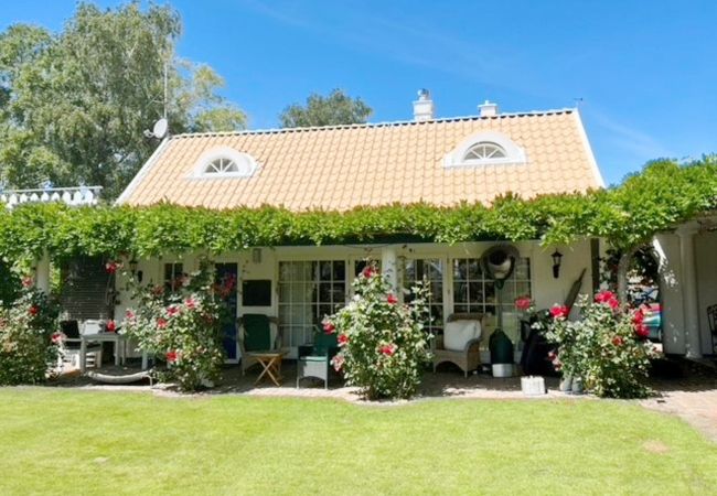  in Falsterbo - Modern guest house in Falsterbo within walking distance to the sea | SE01064