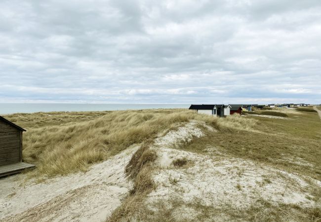 House in Falsterbo - Modern guest house in Falsterbo within walking distance to the sea | SE01064