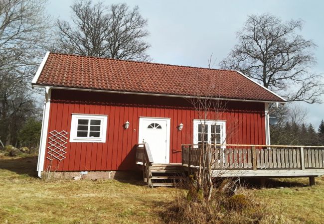 in Lenhovda - Cozy red cottage with white knots outside Lenhovda | SE06077