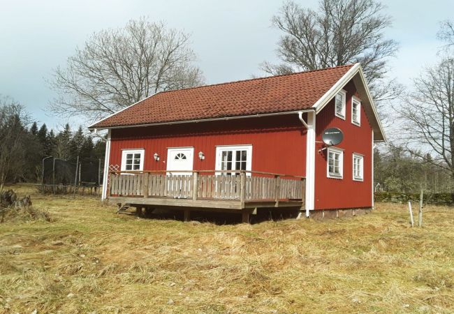 House in Lenhovda - Cozy red cottage with white knots outside Lenhovda | SE06077
