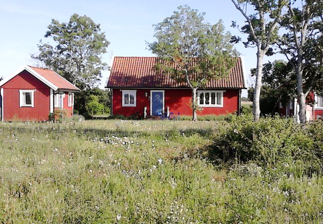 House in Borgholm - Cozy cottage in Äleklinta, north of Borgholm, close to the sea | SE04049