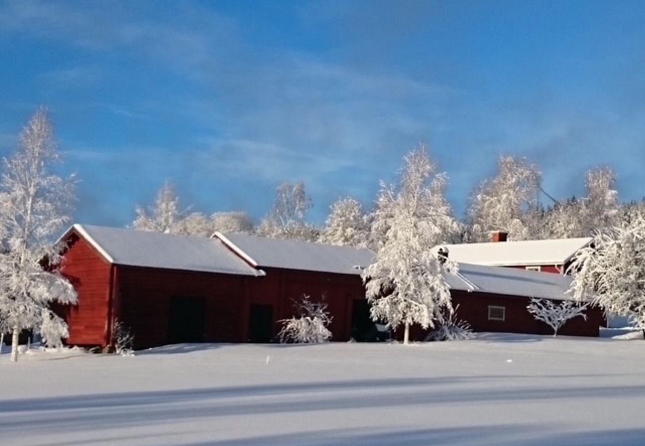 House in Bjursås - Charming Dala cottage in Bjursås | SE19029
