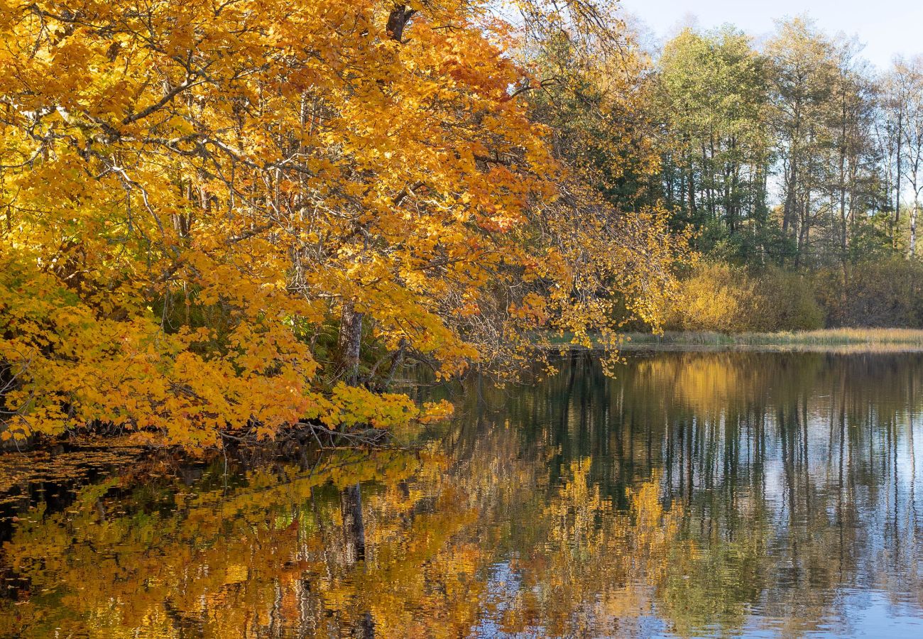 House in Marieholmsbruk - Family Friendly Cottage by the Lake in Småland – Perfect for Large Groups   SE06078