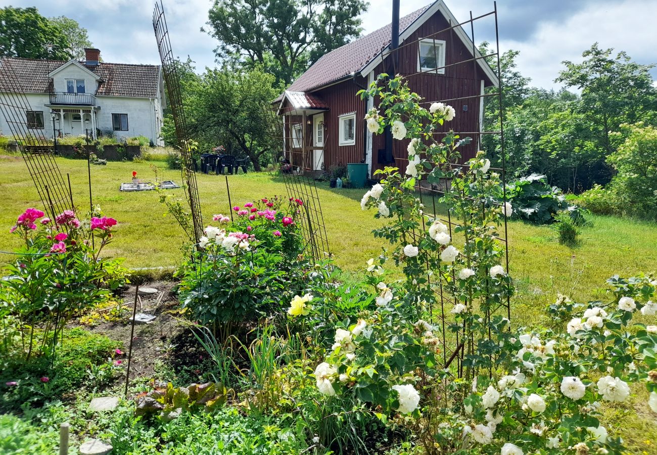 House in Mönsterås - Cozy Country Cottage in Scenic Location near Mönsterås | SE05055