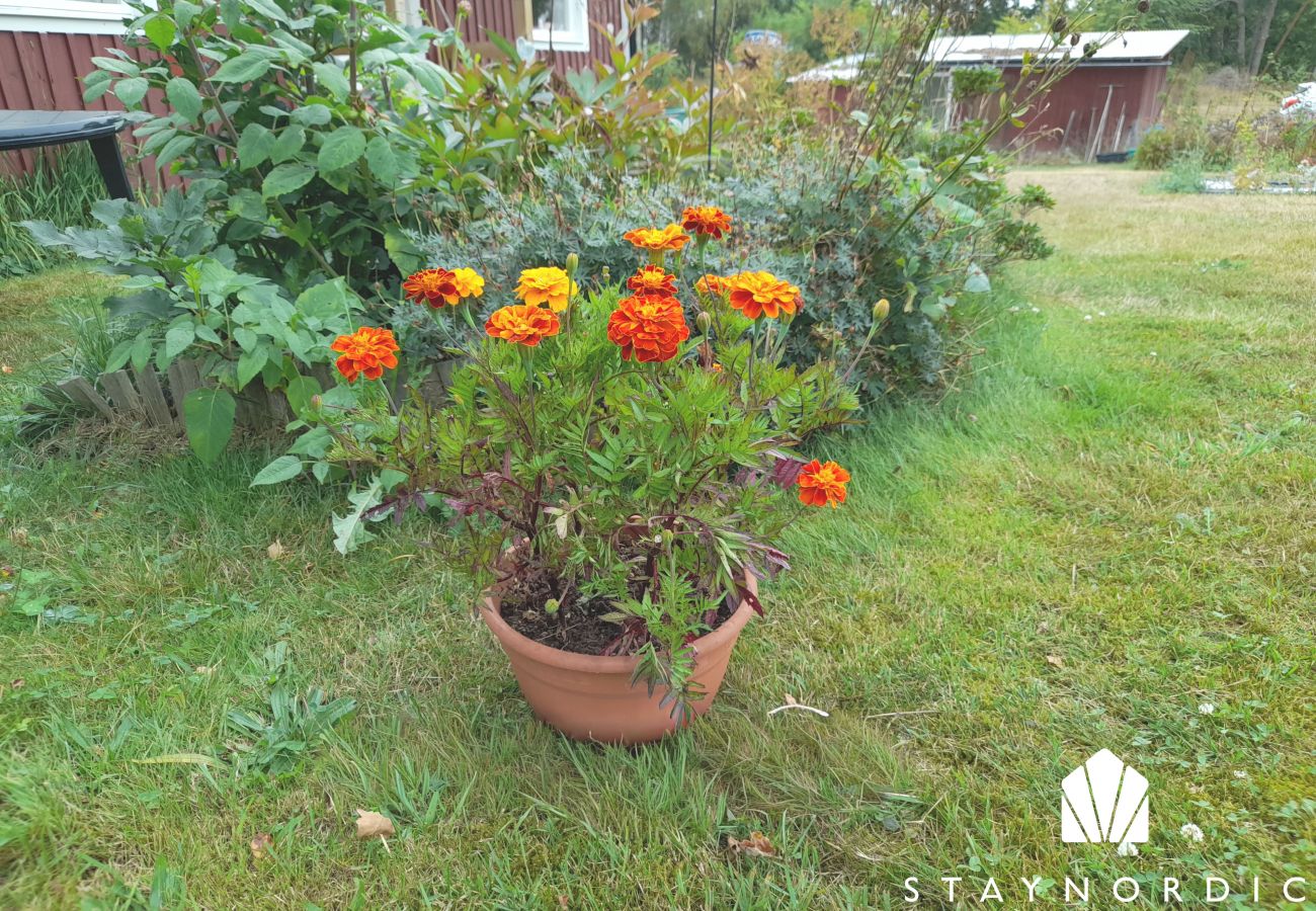 House in Mönsterås - Cozy Country Cottage in Scenic Location near Mönsterås | SE05055