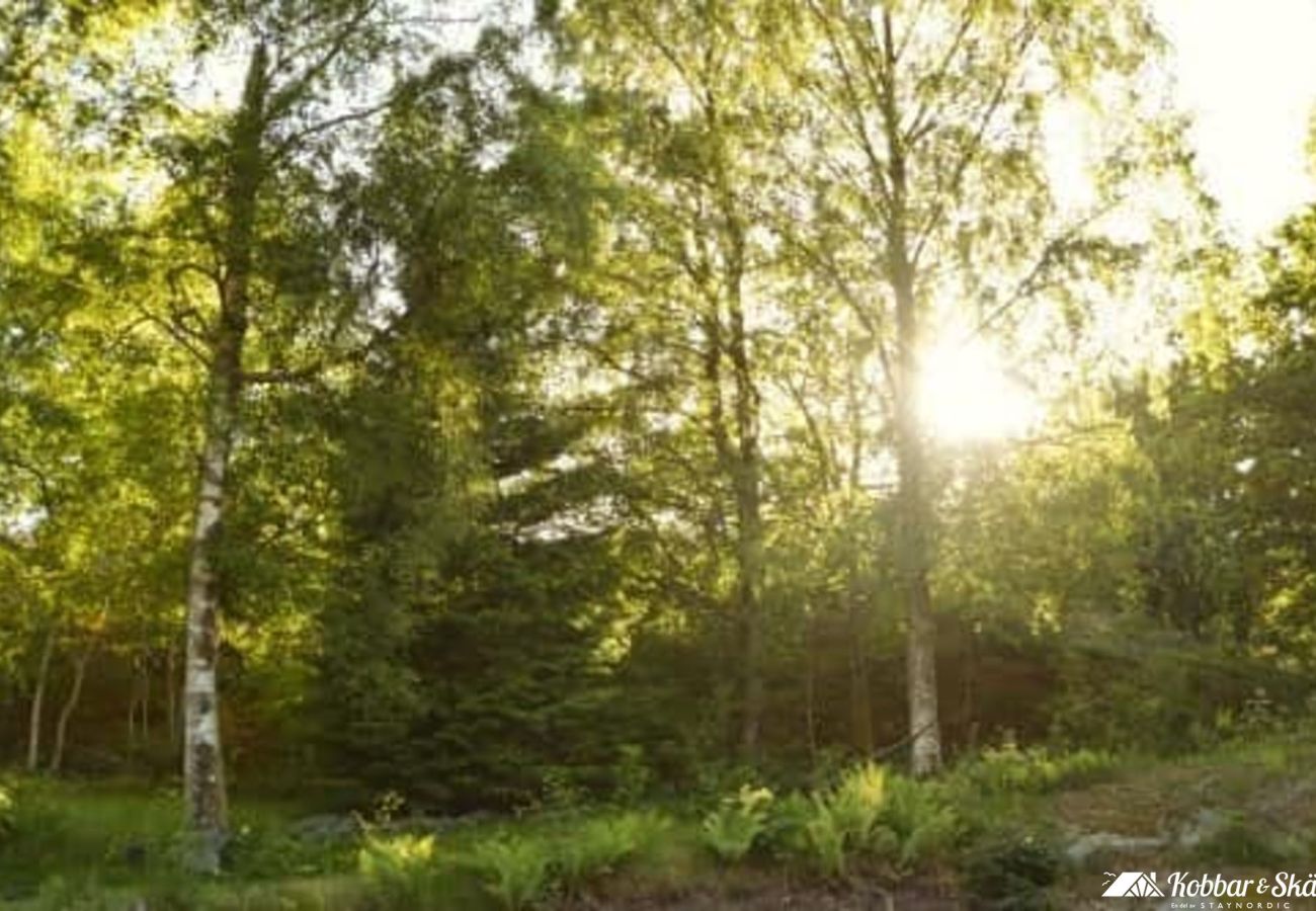 House in Fagerfjäll - With the forest right next door, you will have a peaceful holiday at Tjörn. SE09118