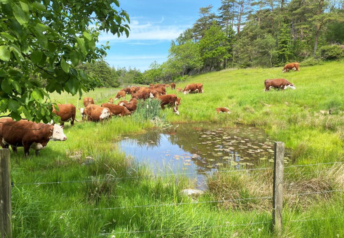 House in Henån - Fresh apartment on western Orust near Nösund | SE09122