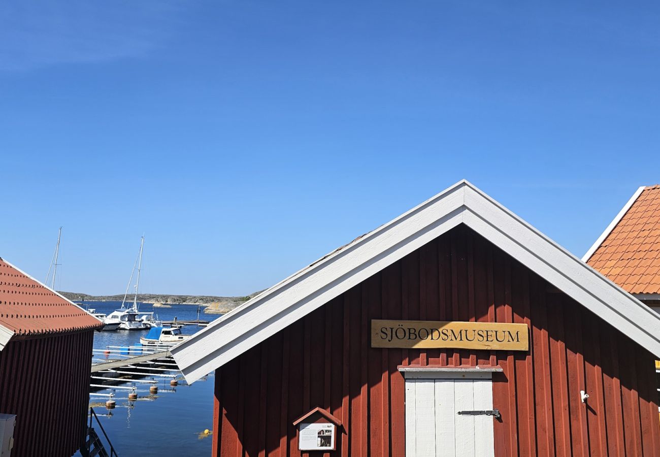 House in Ellös - Panoramic view on Ellös top with 500m to sea | SE09125
