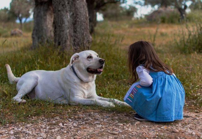 House in Varekil - Dogfriendly House in Hjälmvik with Sea Glimpse | SE09114 House in Varekil - Dogfriendly House in Hjälmvik with Sea Glimpse | SE09114