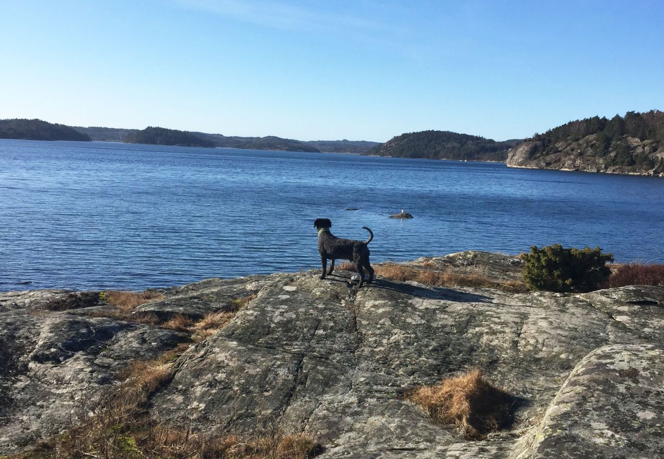 House in Varekil - Well-kept house with sauna, pool table, 650 m to the beach | SE09135