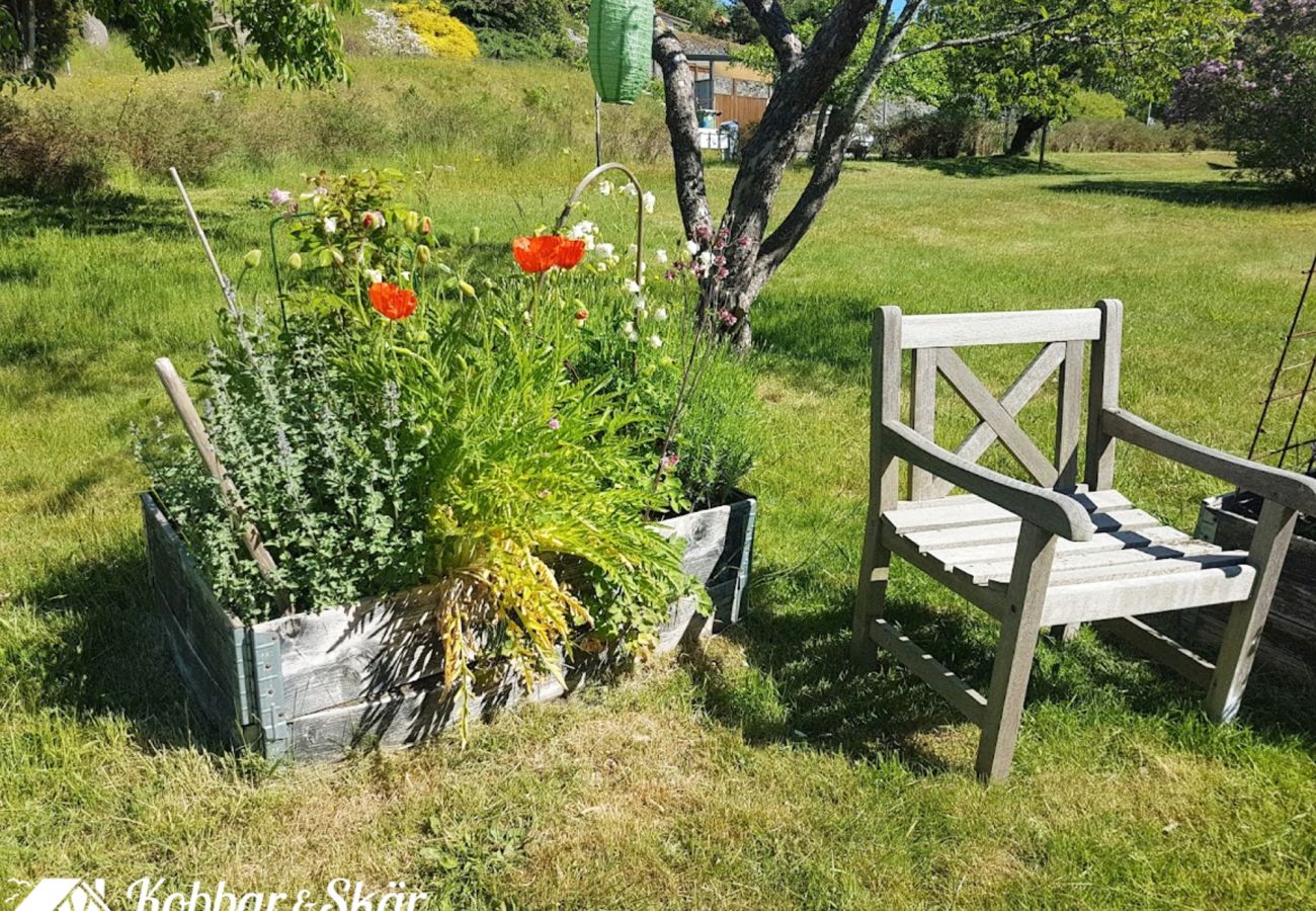 House in Svanesund - Fantastic sea views and 100 m to the beach in Svanesund | SE09137