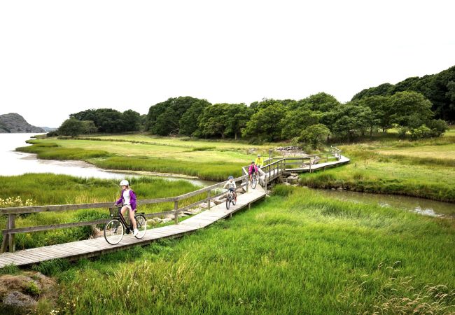 House in Varekil - Cottage in beautiful rocky surroundings on Mjörn, only 300m from the sea | SE09115 House in Varekil - Cottage in beautiful rocky surroundings on Mjörn, only 300m from the sea | SE09115