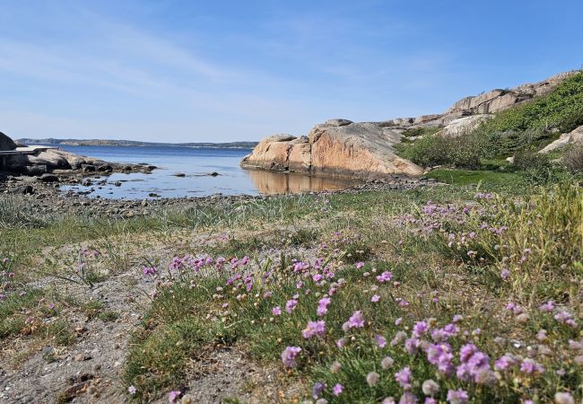 House in Varekil - Cottage in beautiful rocky surroundings on Mjörn, only 300m from the sea | SE09115 House in Varekil - Cottage in beautiful rocky surroundings on Mjörn, only 300m from the sea | SE09115