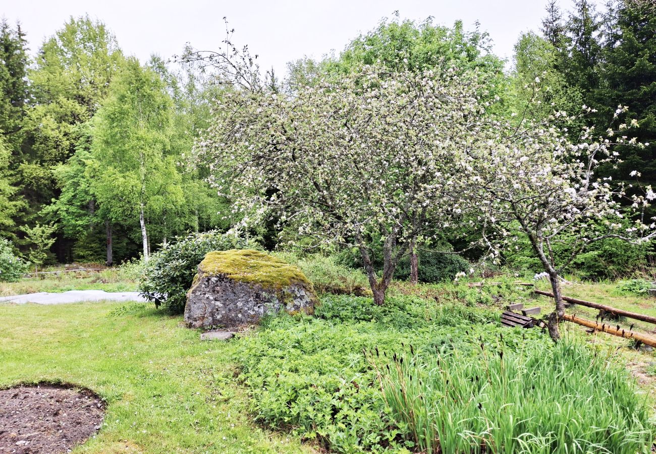House in Lönsboda -  Charming Holiday Home in Forest Idyll near Tosthult | SE01078