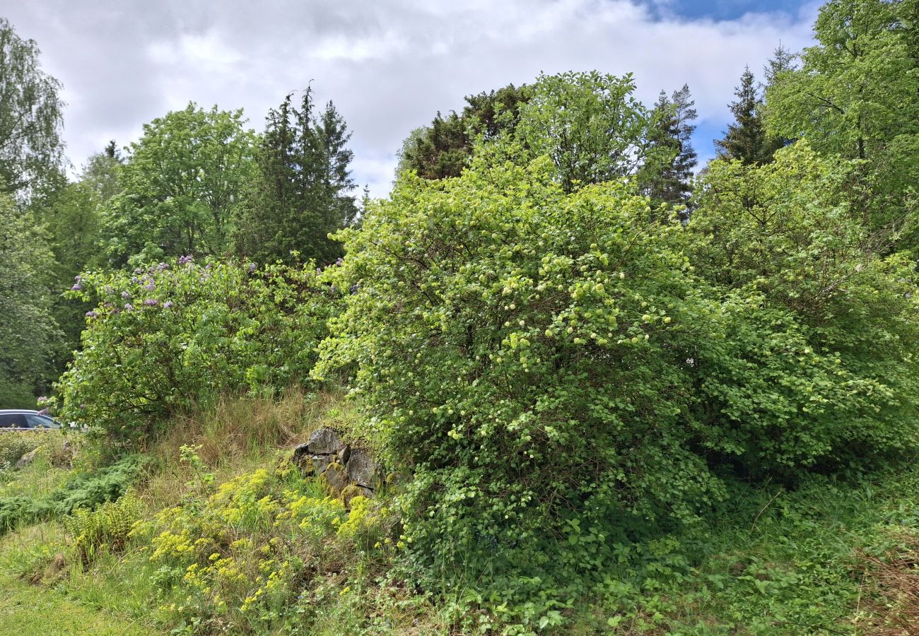 House in Lönsboda -  Charming Holiday Home in Forest Idyll near Tosthult | SE01078