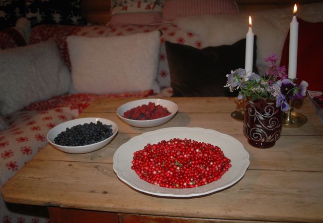 House in Skillingsfors - Very beautifully situated cottage in Skillingsfors |SE18031 House in Skillingsfors - Very beautifully situated cottage in Skillingsfors |SE18031